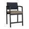 Lesro Lenox Steel Hip Chair Metal Frame, Black, RS Night Sky Back, MD Farro Seat LS1161 - alternate 1